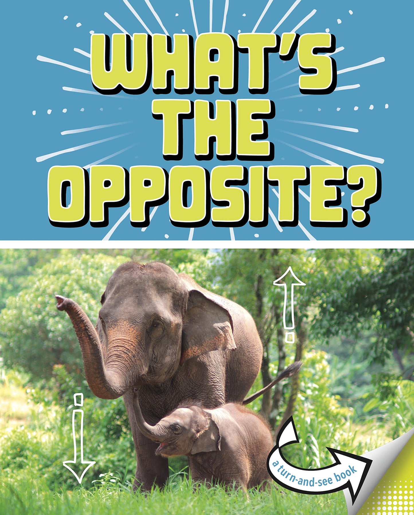 Whats the Opposite?: A Turn-and-See Book (Whats Next?) by Cari Meister