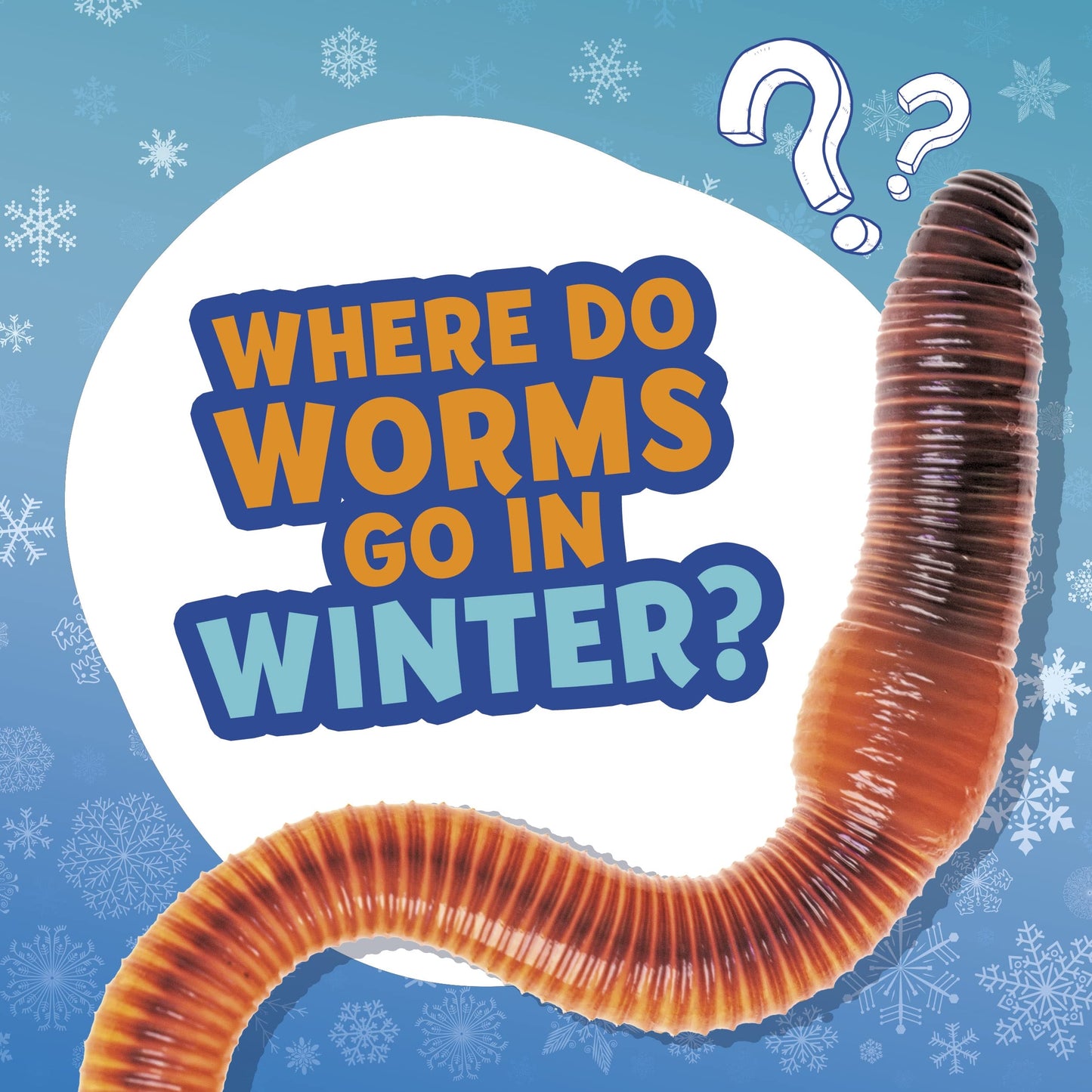 Where Do Worms Go in Winter? (Amazing Animal Q&As) by Ellen Labrecque