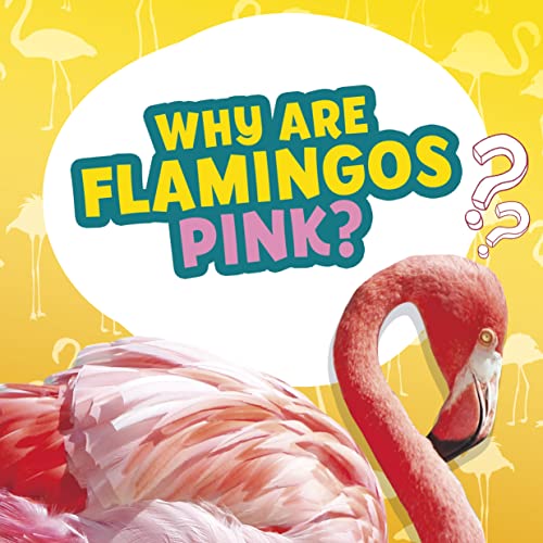 Why are Flamingos Pink? by Nancy Dickmann