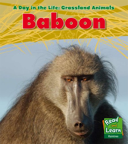 Day In The Life: Grassland Animals - Baboon by Louise Spilsbury