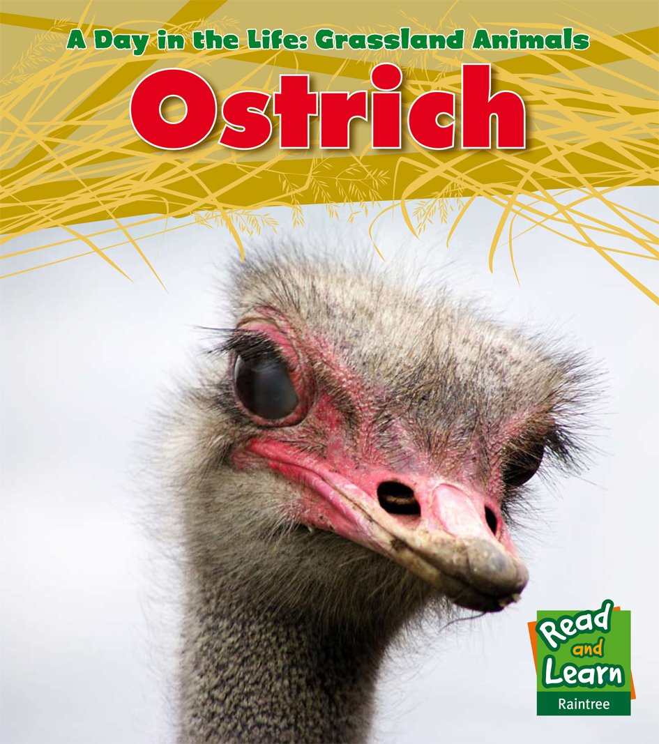 Day In The Life: Grassland Animals - Ostrich by Louise Spilsbury