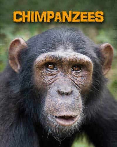 Living In The Wild: Primates - Chimpanzees by Heidi Moore