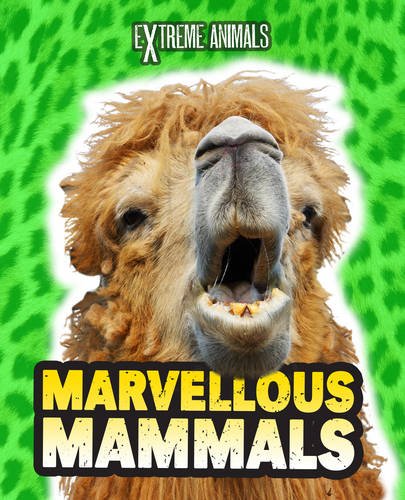 Extreme Animals: Marvellous Mammals by Isabel Thomas