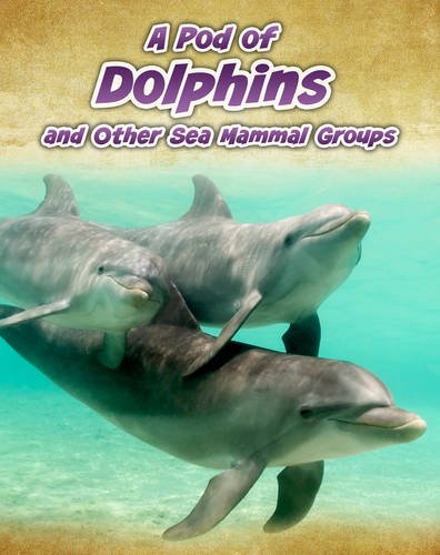 Animals In Groups: A Pod Of Dolphins & Other Sea Mammal Groups by Richard Spilsbury