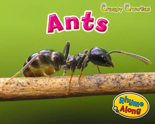 Creepy Crawlies: Ants by Rebecca Rissman