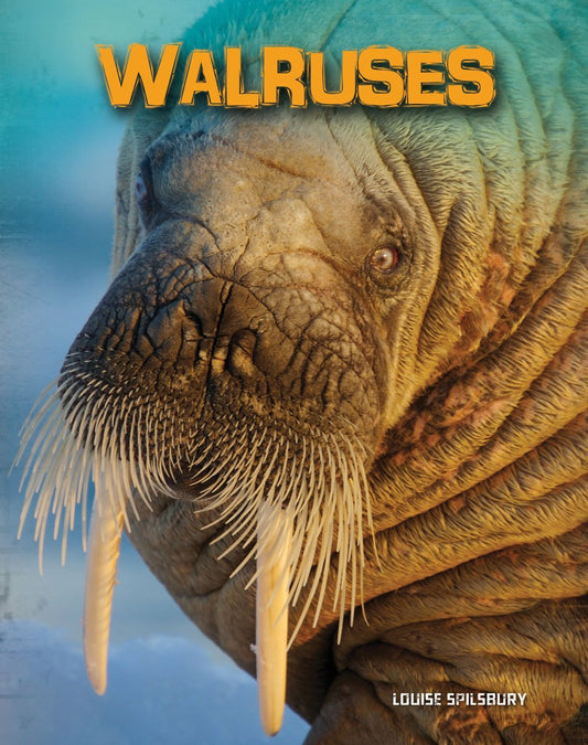 Living In The Wild: Walruses by Louise Spilsbury