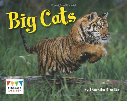 Big Cats (Engage Literacy: Engage Literacy Green) by Blacker, Sharnika