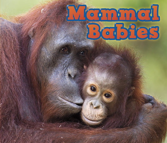 Animal Babies: Mammal Babies by Catherine Veitch