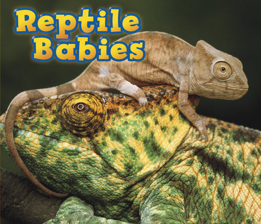 Reptile Babies - Animal Babies by Catherine Veitch