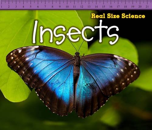 Real Size Science: Insects by Rebecca Rissman