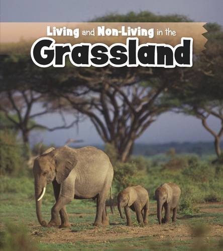 Living & Non-Living In The Grasslands by Rebecca Rissman