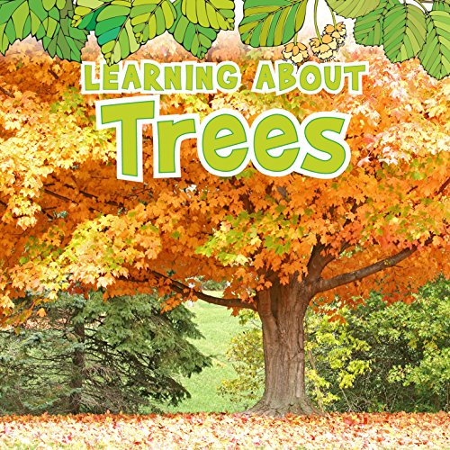 Natural World: Learning About Trees by Catherine Veitch