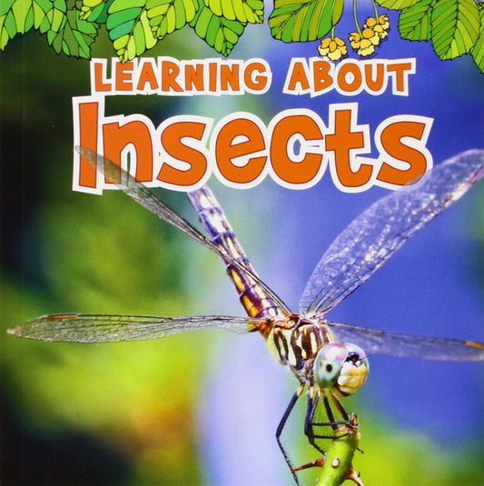 Natural World: Learning About Insects by Catherine Veitch