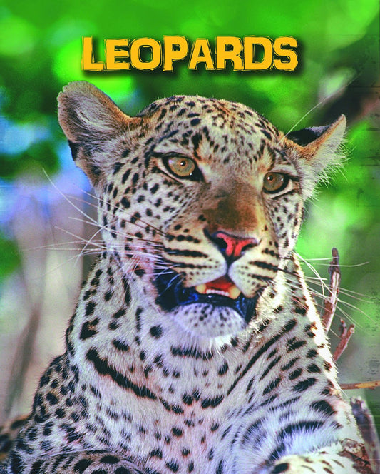 Living In The Wild: Big Cats - Leopards by Claire Throp