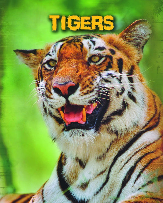 Living In The Wild: Big Cats - Tigers by Anna Claybourne