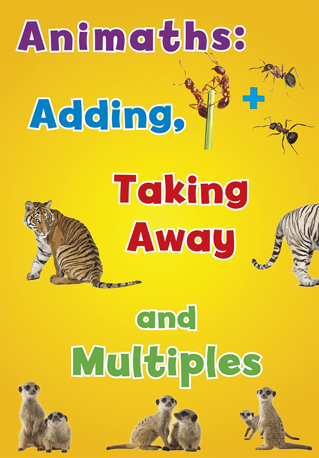 Animaths: Adding, Taking Away & Multiples (Giant book) by Tracey Steffora