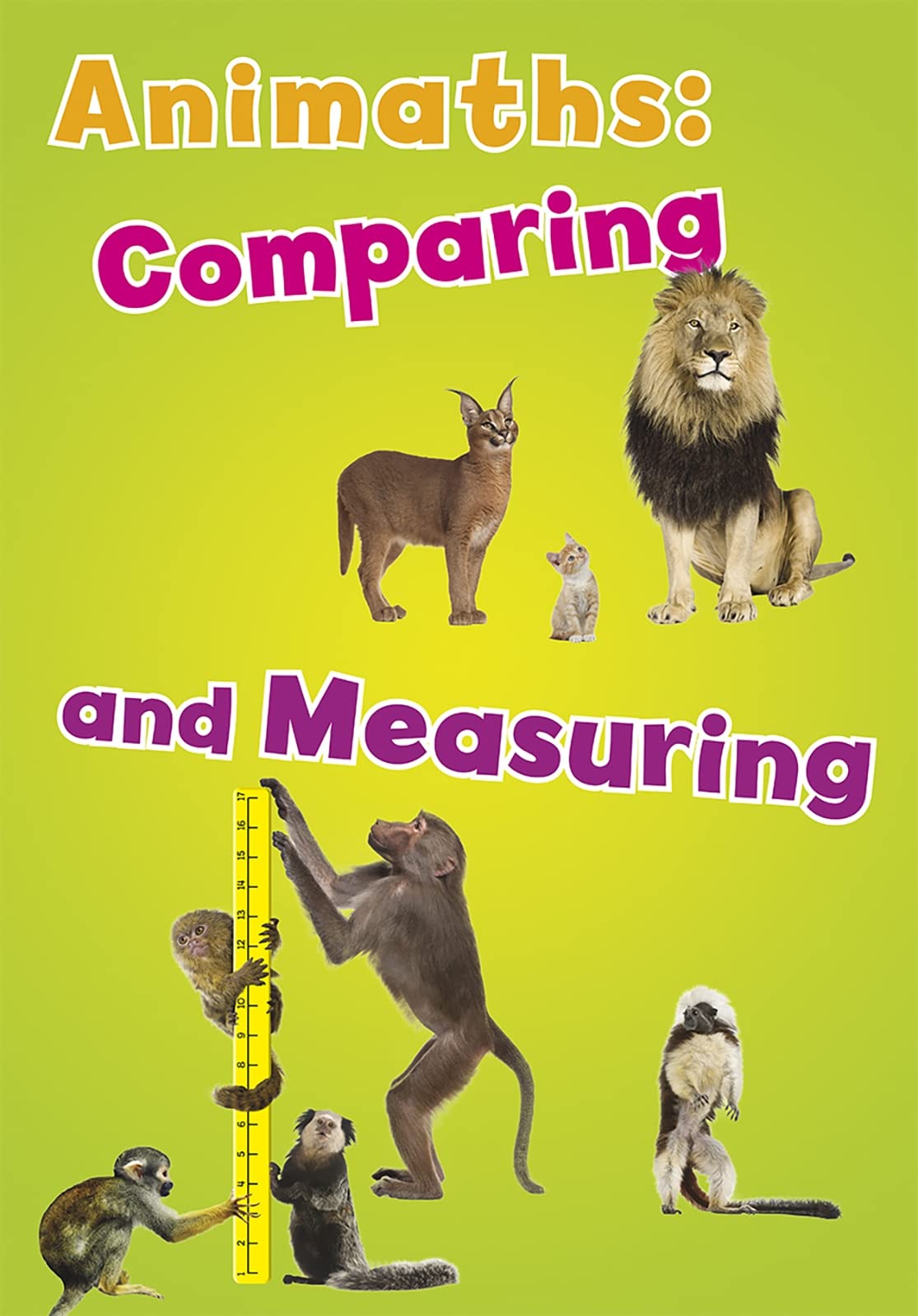 Animaths: Comparing & Measuring (Giant book) by Tracey Steffora