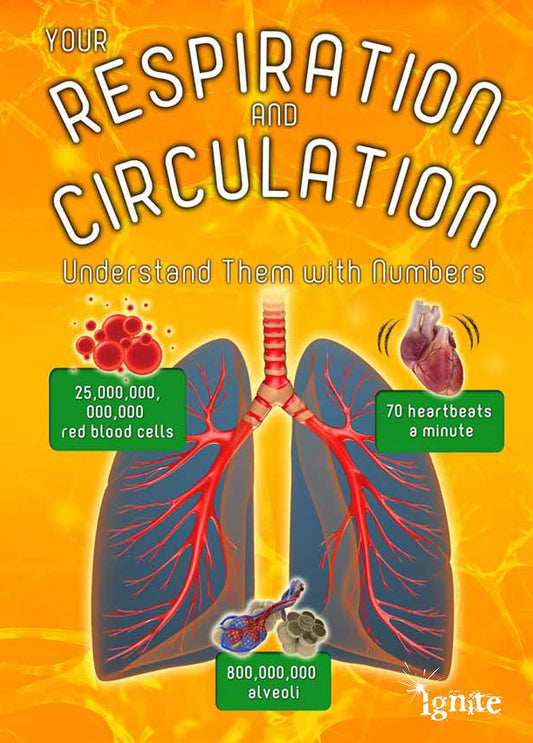 Your Respiration & Circulation: Understand Them With Numbers by Melanie Waldron