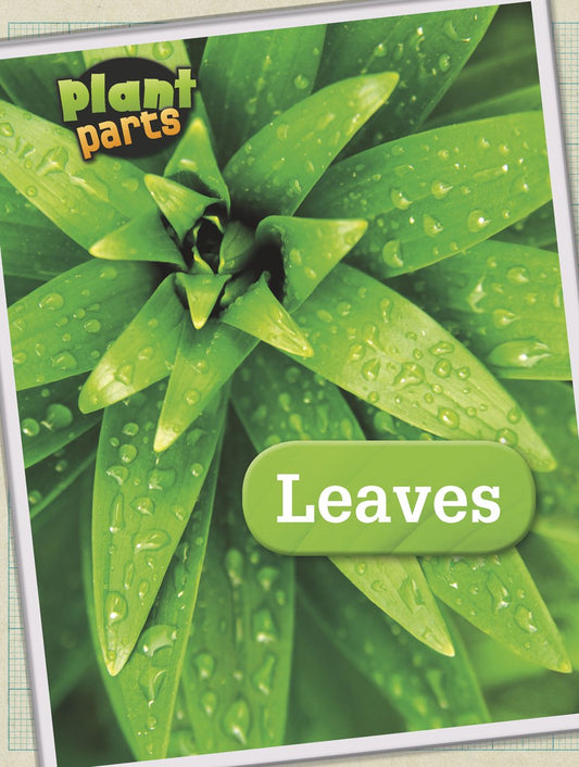 Plant Parts: Leaves by Melanie Waldron