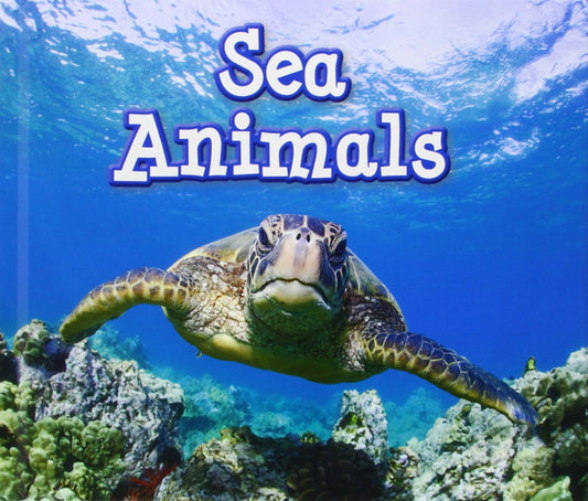 Animals In Their Habitats: Sea Animals by Sian Smith