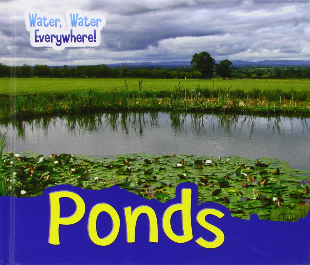 Water, Water Everywhere! Ponds by Diyan Leake