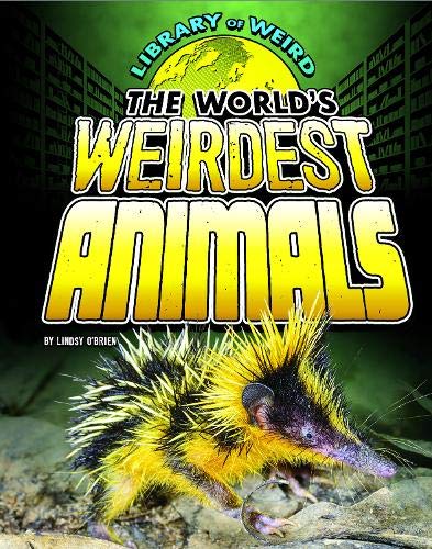 Library Of Weird: The Worlds Weirdest Animals by Lindsy OBrien