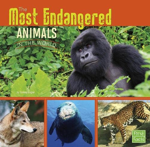 All About Animals: The Most Endangered Animals In The World by Tammy Gagne