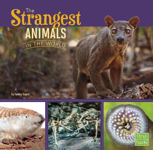 All About Animals: The Strangest Animals In The World by Tammy Gagne