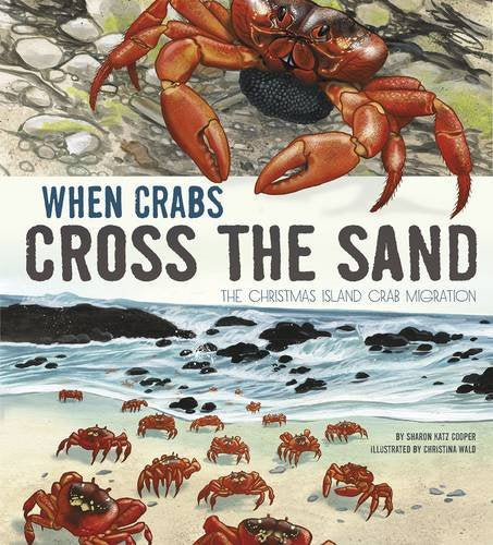 When Crabs Cross The Sand by Sharon Katz Cooper