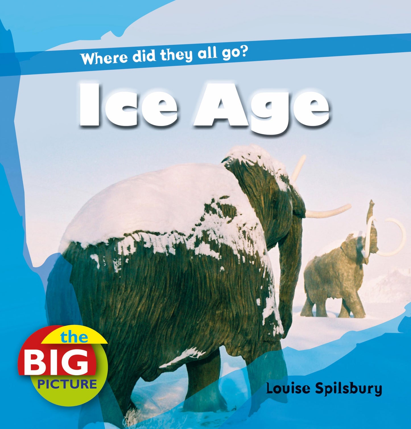 Big Picture: Ice Age by Louise Spilsbury