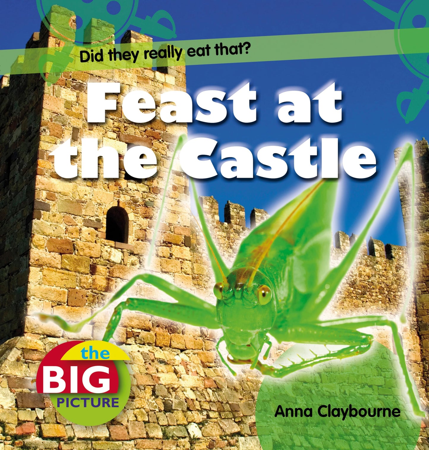 Big Picture: Feast At The Castle by Anna Claybourne