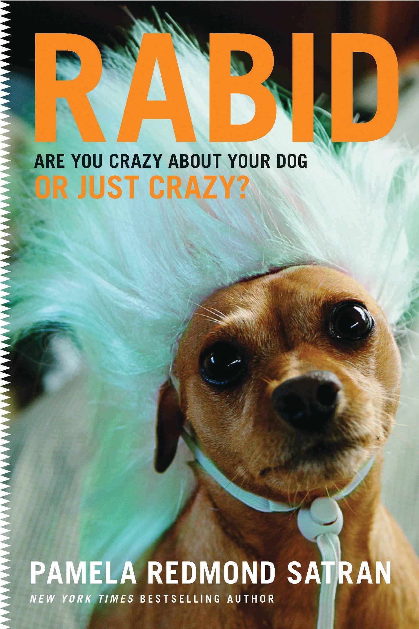 Rabid: Are You Crazy About Your Dog or Just Crazy? by Pamela Redmond Satran,Pamela Redmond Satran