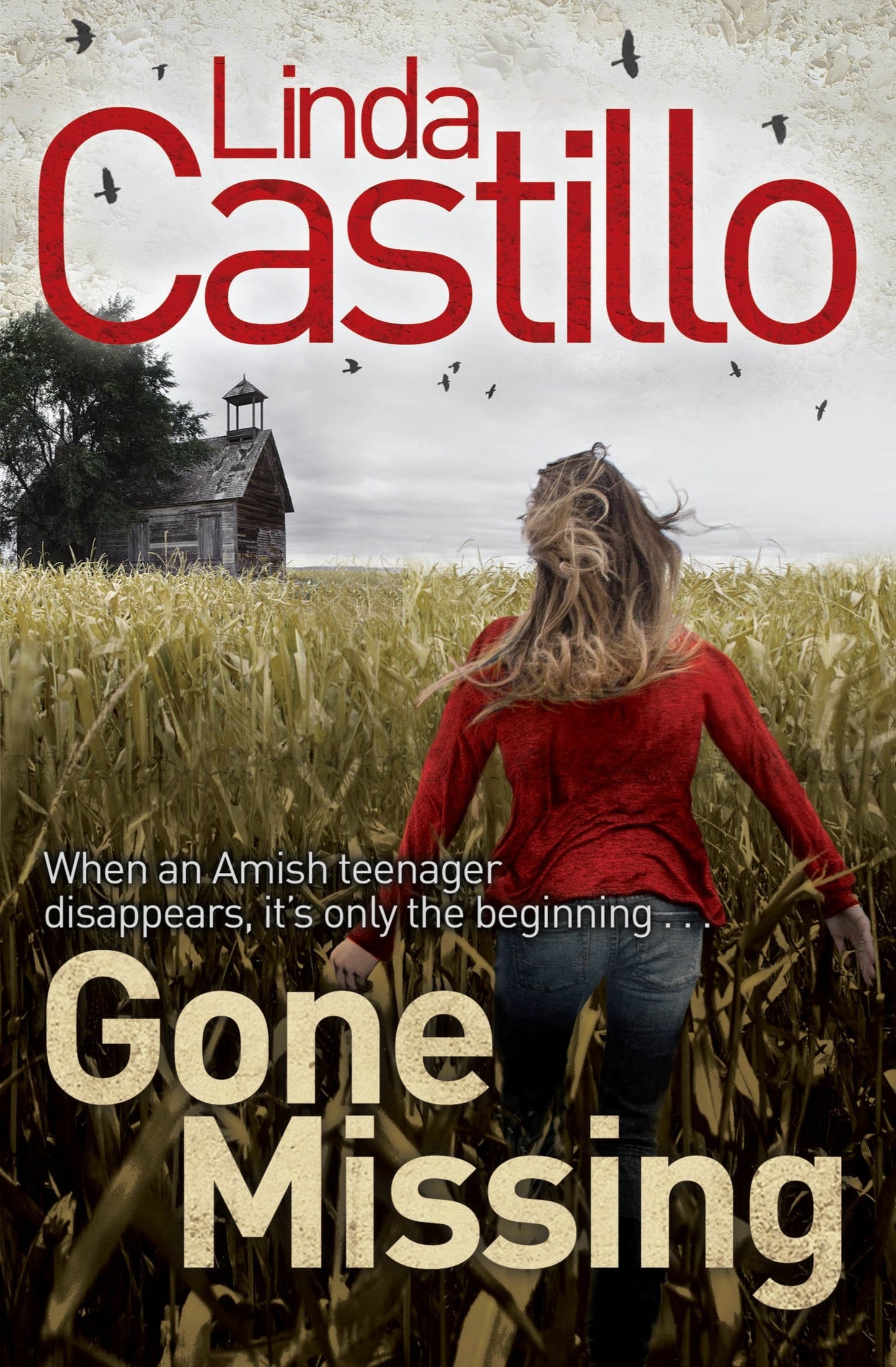 Gone Missing (Kate Burkholder-Reihe) von Linda Castillo