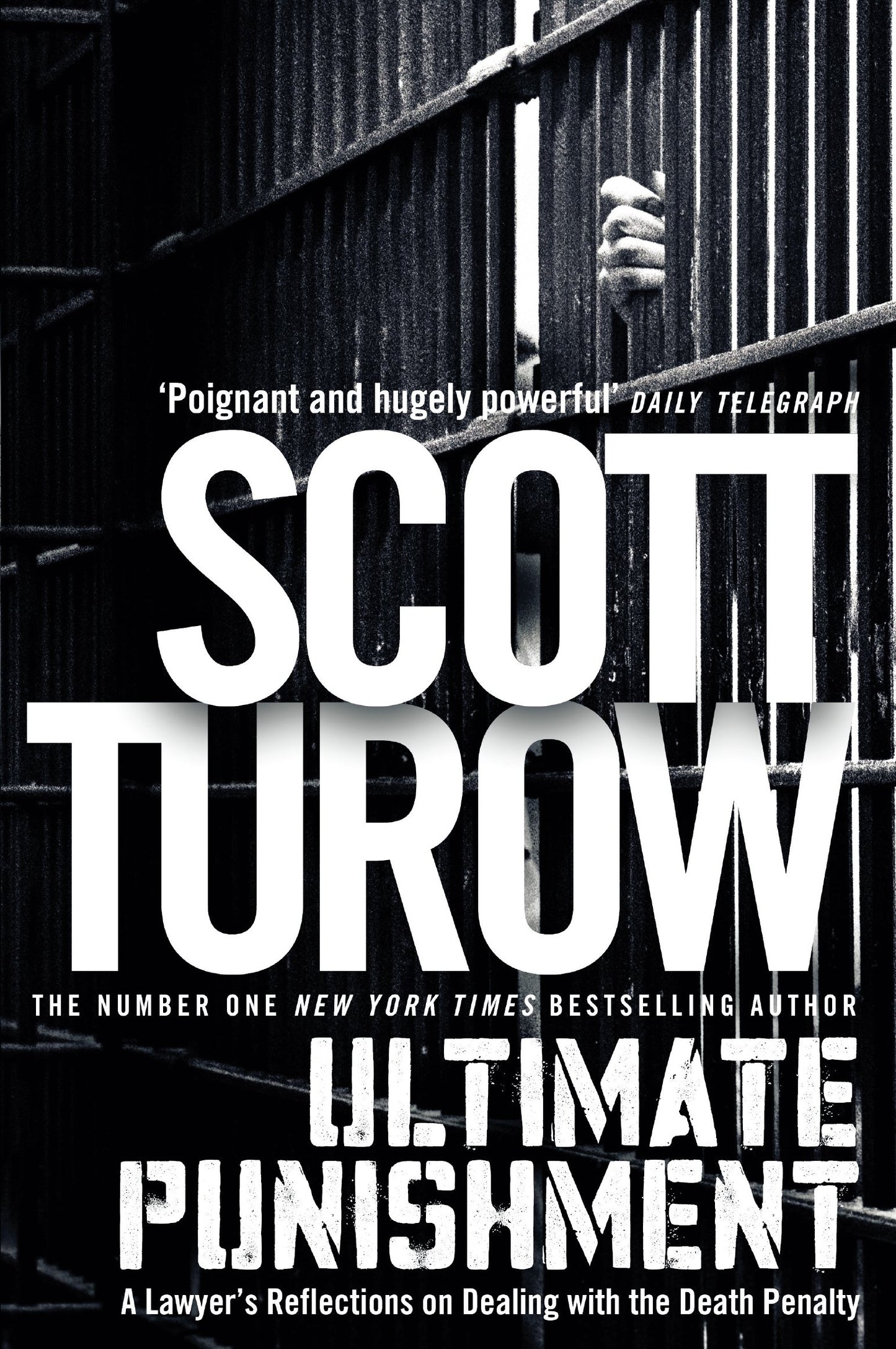 Ultimate Punishment by Scott Turow