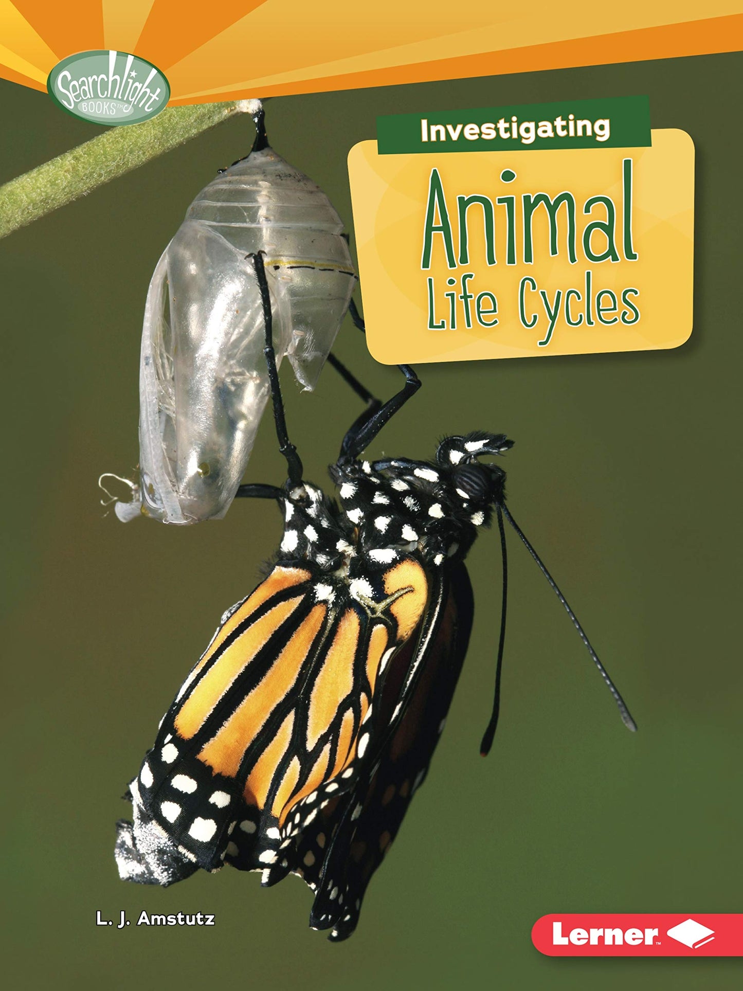 Searchlight Books: Investigating Animal Life Cycles by L.J.Amstutz