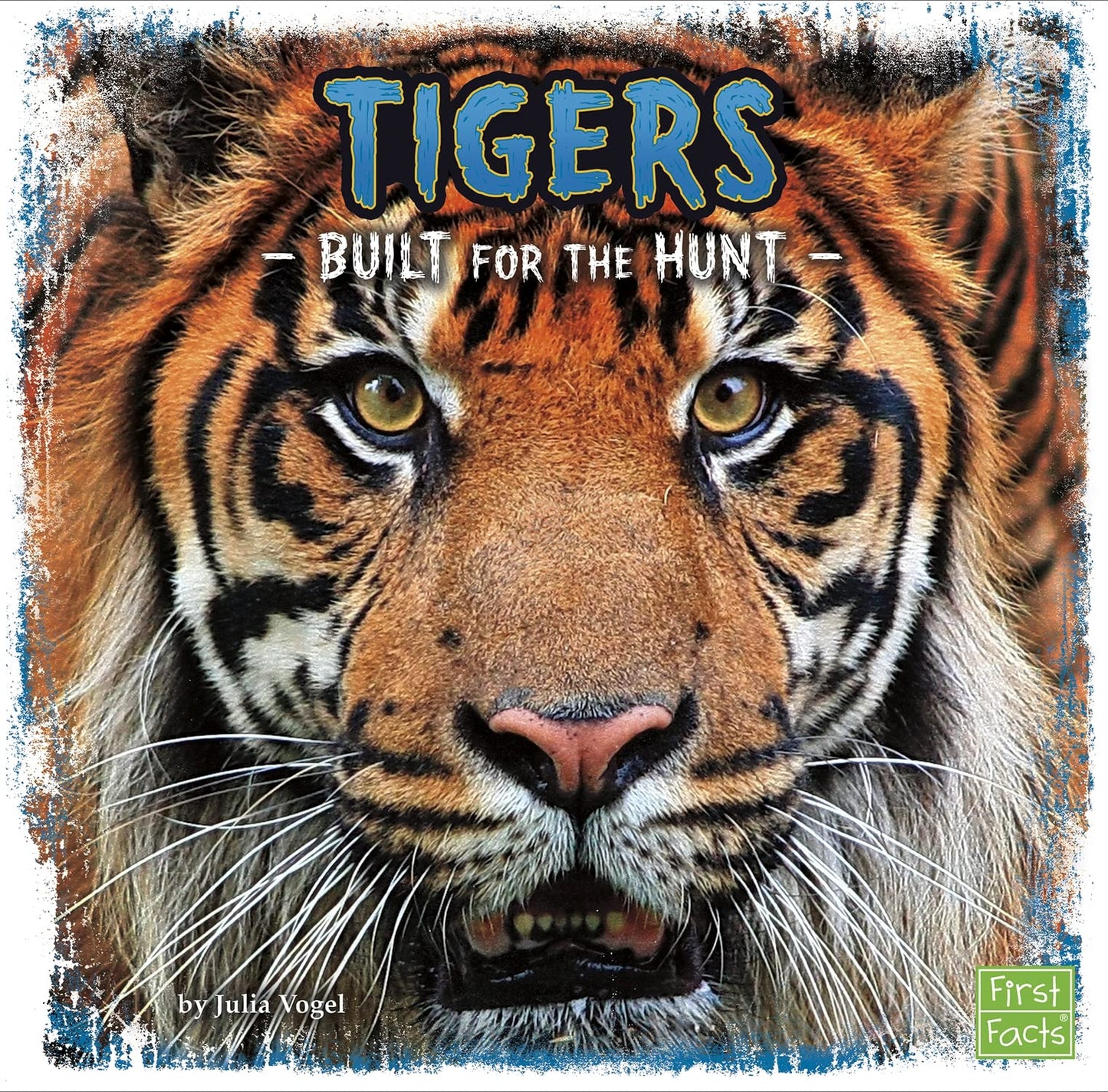 Built For The Hunt: Tigers by Julia Vogel