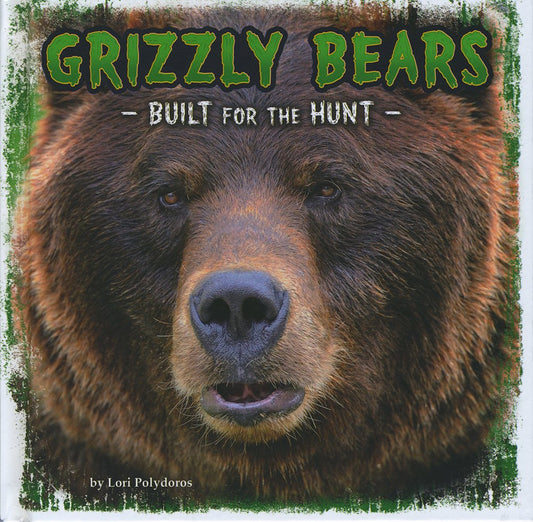 Built For The Hunt: Grizzly Bears by Lori Polydoros