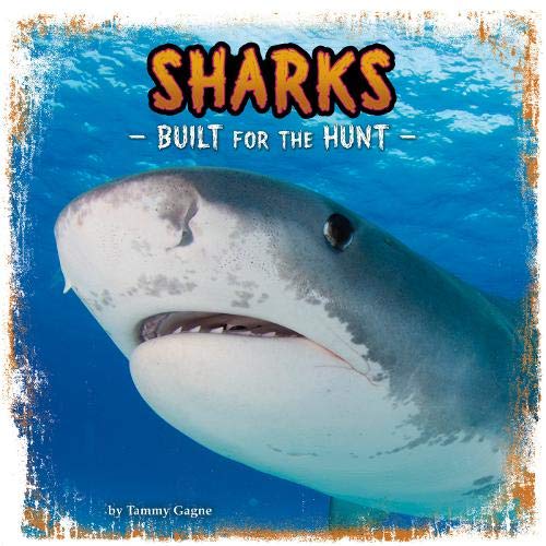 Built For The Hunt: Sharks by Tammy Gagne