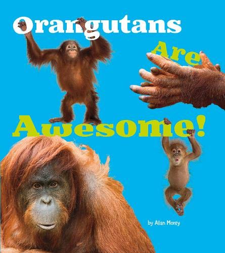 Orangutans Are Awesome! by Megan Cooley Peterson