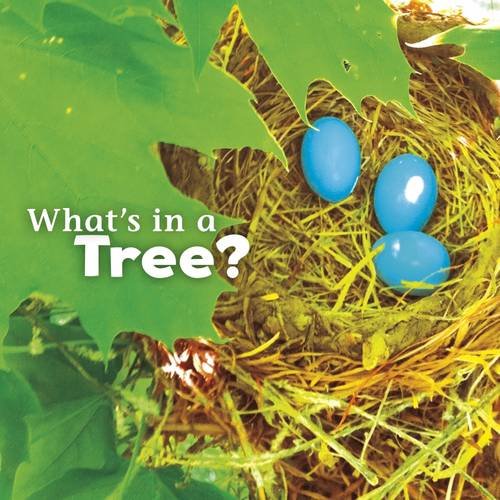 Whats In There?: Whats In A Tree? by Martha E.H. Rustad