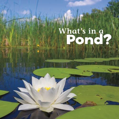 What's In There: What's In A Pond? by Martha E.H.Rustad