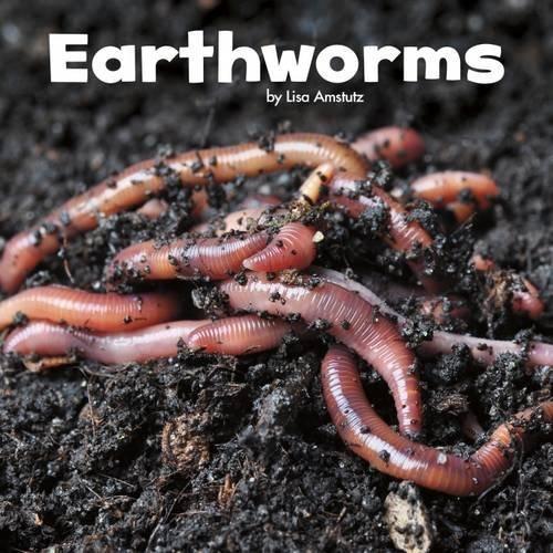 Little Creatures: Earthworms by Lisa J.Amstutz