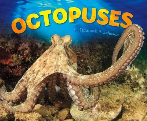 Sea Life: Octopuses by Elizabeth R.Johnson