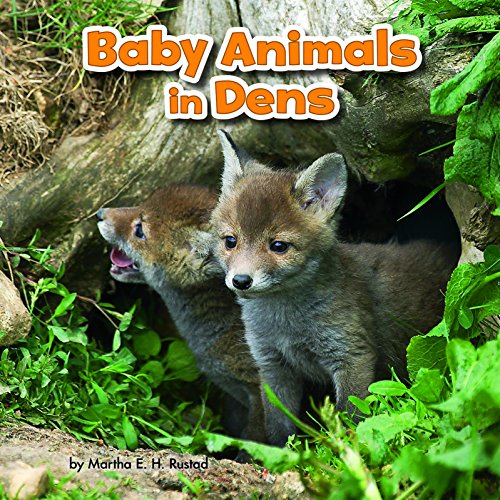 Baby Animals & Their Homes: Baby Animals In Dens by Martha E.H.Rustad