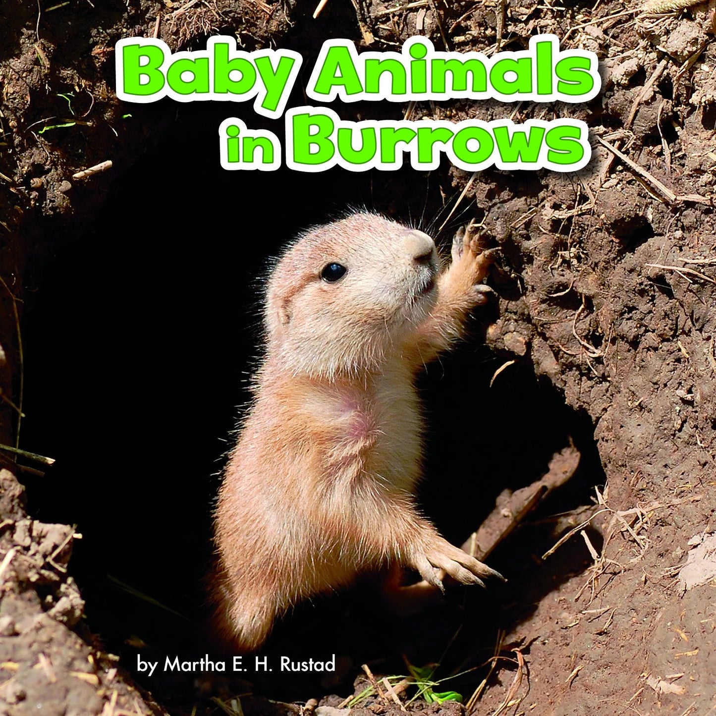 Baby Animals & Their Homes: Baby Animals In Burrows by Martha E.H.Rustad