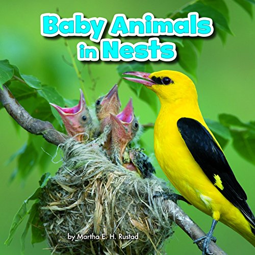 Baby Animals & Their Homes: Baby Animals In Nests by Martha E.H.Rustad