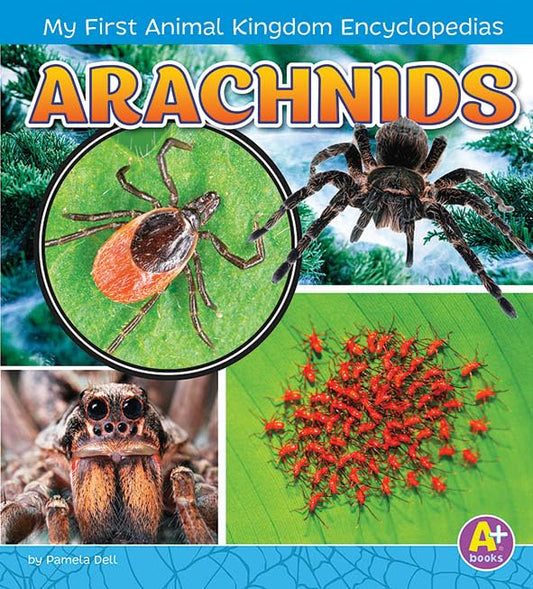 Animal Kingdom: Arachnids by Pamela Dell