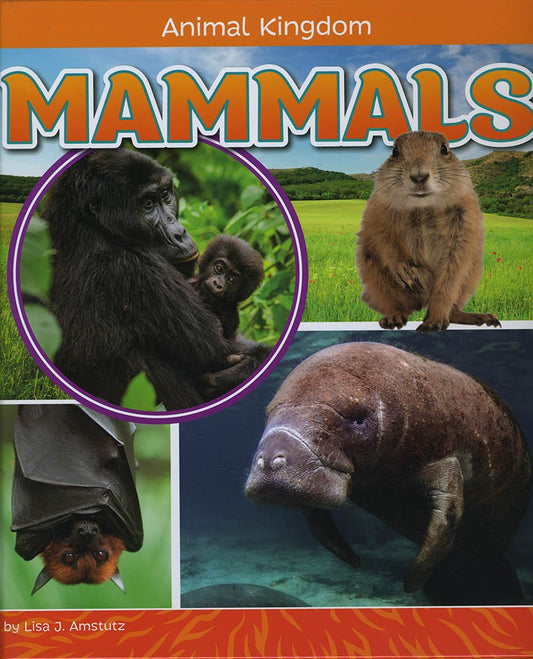 Animal Kingdom: Mammals by Lisa J.Amstutz