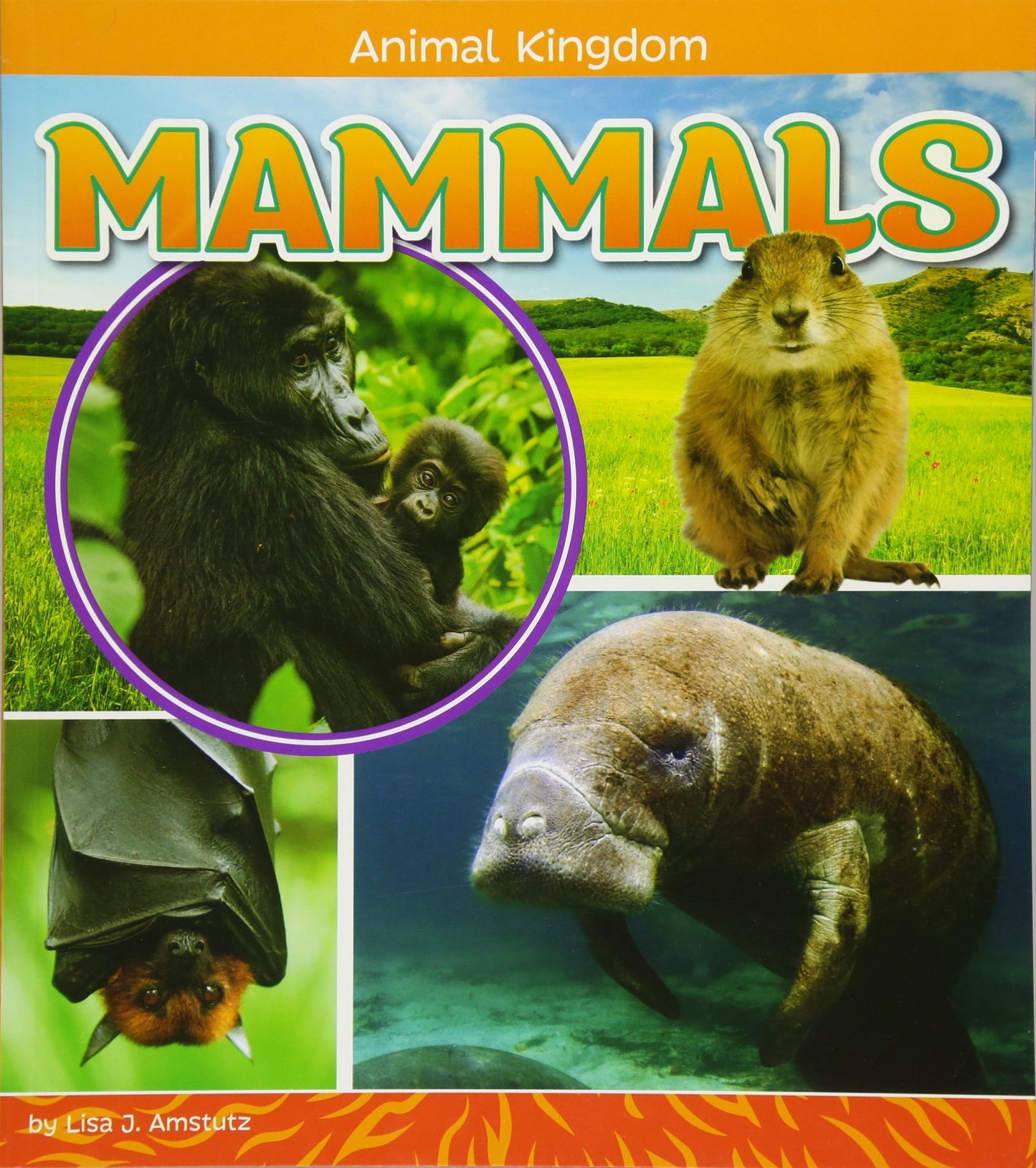 Mammals by Amstutz, Lisa J.