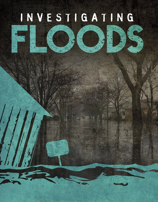 Investigating Natural Disasters: Floods by Elizabeth Elkins